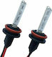 Carman Lamps Car H11 Xenon 6000K Cold White 35W 2pcs