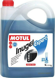 Motul Inugel Expert Kühlmittel für den Kühler Auto G11 Blau Farbe 5Es