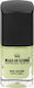 Make-up Studio Colour Лак за Нокти Зелен M74 12мл