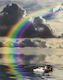 Anartisi Roller Blinds Partial Blackout Rainbow W100xH100cm E385