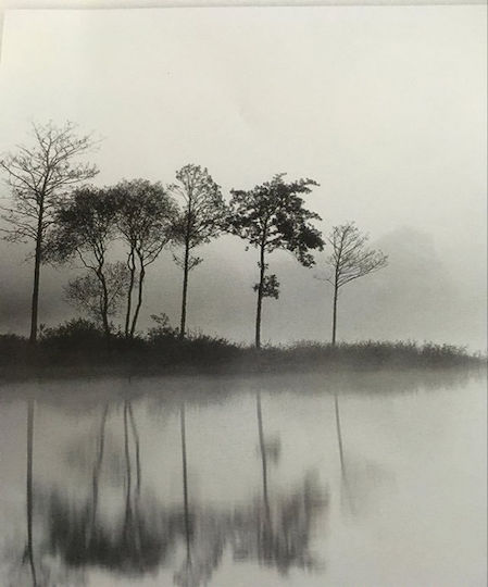 Anartisi Rolete Geam Semi-Blackout Lake In Fog P100xÎnălțime100cm E387 Gri