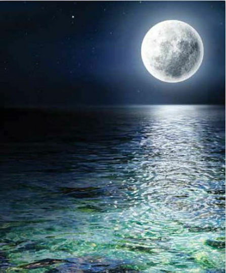 Rolete Geam Semi-Blackout "Moonlight" P100xÎ100cm E394