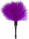 Easytoys Small Feather Tickler in Lila Farbe ET...