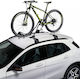 Cruz Race 2019 Car Bike Ceiling Rack for 1 Bike