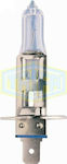 Auto Gs Lampen Auto Trifa 1656 H1 Halogen 24V 70W 1Stück