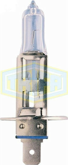 Auto Gs Λάμπα Αυτοκινήτου Trifa 1656 H1 Αλογόνου 24V 70W 1τμχ
