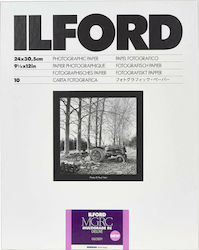 Ilford MG RC DL 1M 24x30 Kamerazubehör HAR1179998 Dunkelkammer-Papier Ilford MG RC DL 1M 24x30 Kamerazubehör HAR1179998 Dunkelkammer-Papier