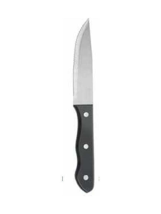 Hendi Steak Knife of Stainless Steel 25cm 30.40358