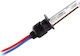 Carner Lamps Car & Motorcycle H1 Xenon 6000K Cold White 12-24V 35W 1pcs