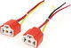 AMiO Car Bulb Adapters H4 for Fiat Ducato 2pcs