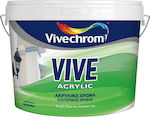 Vivechrom Vive Acrylic Βάση D Plastic Acrilyc Paint for Exterior Use White 3lt