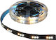 Miboxer LED-Streifen 12V RGBW Licht 5m Typ SMD5050