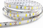 Evivak Rezistentă la apă Bandă LED Alimentare 12V cu Lumină Alb Rece Lungime 5m și 30 LED-uri pe Metru SMD5050