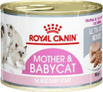 Royal Canin Mother & BabyCat Nasses Katzenfutter für Katze in Dose 12x195gr