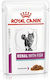 Royal Canin Renal Wet Food for Cats for Kidney Diseases In Pouch with Fish 1pc 85gr