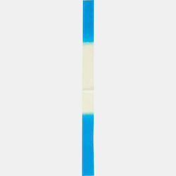 AMILA Rhythmische Gymnastikband 6m Blau 6m