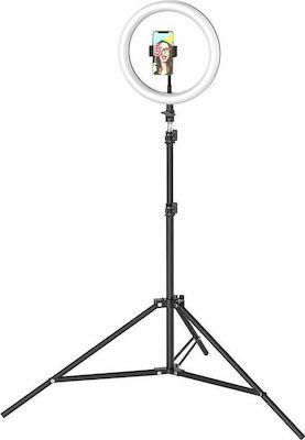 BlitzWolf BW-SL2 Ring Light 26cm with Tripod Floor and Mobile Holder