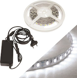 Fos me LED Strip Power Supply 12V with Cold White Light Length 5m and 60 LEDs per Meter with Power Supply