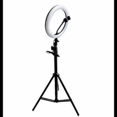 Selfie Ring Light 14in 3 Colours 2.2m Ringlicht 35cm mit Stativ Boden und Halterung für Mobiltelefon