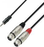 Adam Hall Audio Cable 2x XLR female - 3.5mm male 1m (K3YWFF0100)