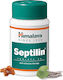 Himalaya Wellness Septilin Nahrungsergänzungsmittel Zur Stärkung Des Immunsystems 60 Tabletten