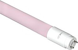 VK Lighting LED Bulb 10W for Socket G13 Pink