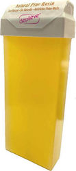 Depileve Hair Removal Wax Roll On Honey 100ml