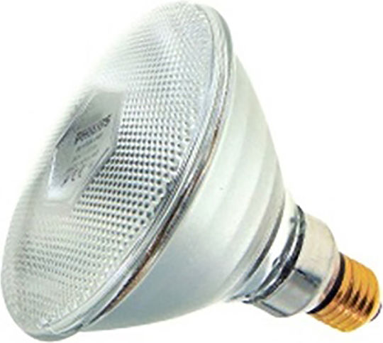 Incandescent Lamp 175W for Socket E27 12pcs