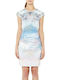 Ted Baker WS4WGD59 Midi Evening Dress