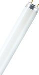 Ledvance Lumilux Fluorescent Lamps for Socket G13 with Shape T8 58W 25pcs