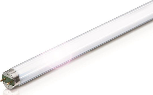 Philips SnoWWhite Fluorescent Lamp for Socket G13 with Shape T8 36W