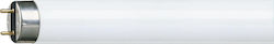 Philips Fluorescent Lamp for Socket G13 with Shape T8 58W