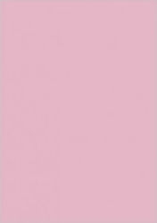 Druckpapier A4 80gr/m² 1x25 Blätter Rosa