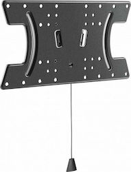 Reflecta Plano LED 65-4020T 23096 Wall Mounted TV Mount Up To 65 Inches Reflecta Plano LED 65-4020T 23096 Wall Mounted TV Mount Up To 65 Inches