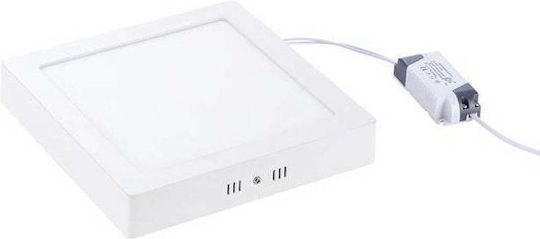 Vito Platz Draußen LED Panel 20W mit Kaltweiß Licht 6000K