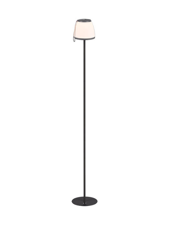 Trio Lighting Domingo LED Floor Lamp H136xW20cm. with Warm White Light Gray