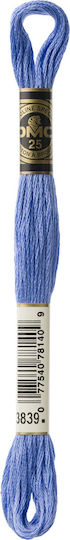 DMC Thread Embroidery Mouliné 117 Cotton 3839 8m