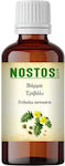 Nostos Pure Βάμμα Τριβόλι Tribulus 50ml