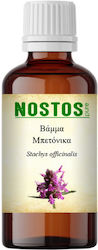 Nostos Pure Betonica Officinalis Tincture 50ml