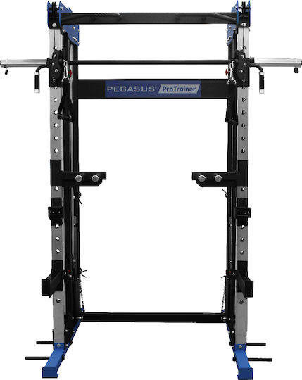 Pegasus Pro Trainer HCLT 2003 Multifunktionales Trainingsgerät mit Gewichten 120kg (2x60kg)