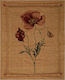 Silk Fashion 4783 Ριχτάρι Πολυθρόνας Chenille 150x180εκ. Καφέ 6978000000275