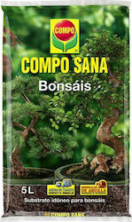 Plant Soil Composana Bonsai Potting Soil 5lt 5lt