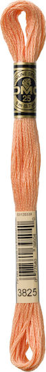 DMC Thread Embroidery Mouliné 117 Cotton in Orange color 8m Pumpkin Pale