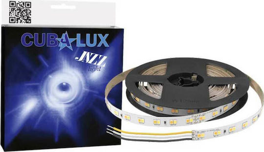 Cubalux LED-Streifen 24V Warm zu kühlem Weiß Licht 5m