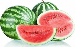 Seed Watermelon Grimson Sweet 1 libra (500gr)-Variety very tasty.  Fruit 7-10Kg , Stripey, hardy