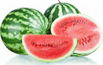 Samen Wassermelone Grimson Sweet 250 gr -Variante sehr lecker.  Frucht 7-10Kg , gestreift, winterhart