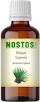 Nostos Pure Βάμμα Σερενόα Palmetto 100ml