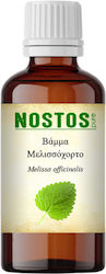 Nostos Pure Βάμμα Μελισσόχορτο 100ml