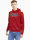 Puma Athletics Men's Sweatshirt with Hood and Pockets Red