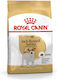 Royal Canin Adult Jack Russell Terrier 7.5kg Trockenfutter für Erwachsene Hunde ohne Gluten für Kleine Rassen mit Geflügel und Reis